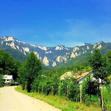 Gasthof Pensiunea Bobu Izvoru Muntelui