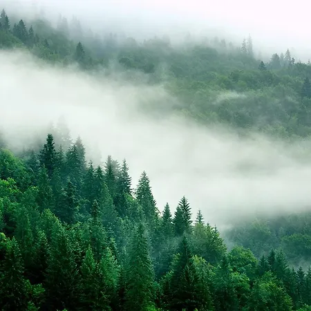 Pensiunea Bobu Gasthof Izvoru Muntelui