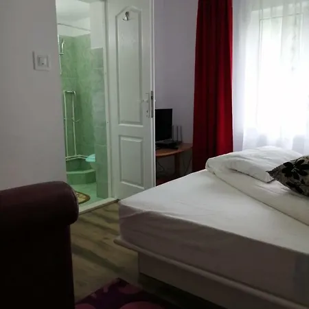 Pensiunea Bobu Izvoru Muntelui