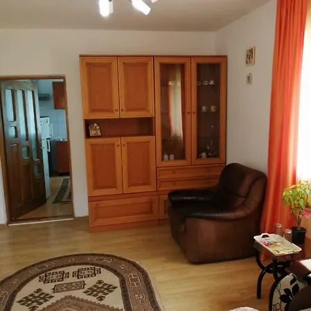 Gasthof Pensiunea Bobu Izvoru Muntelui