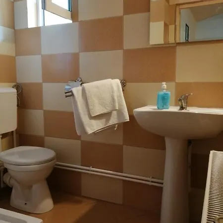 Pensiunea Bobu Izvoru Muntelui